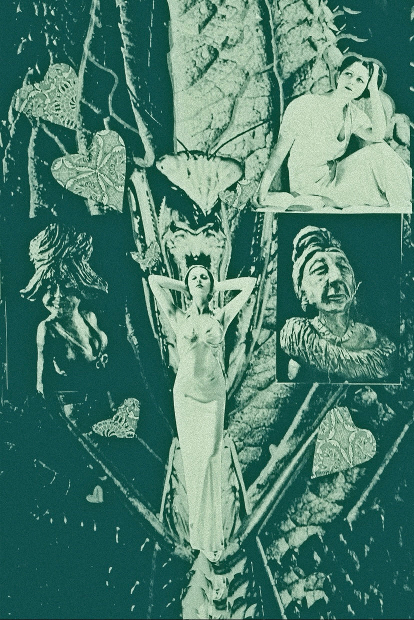 Essence of Femininity Collection