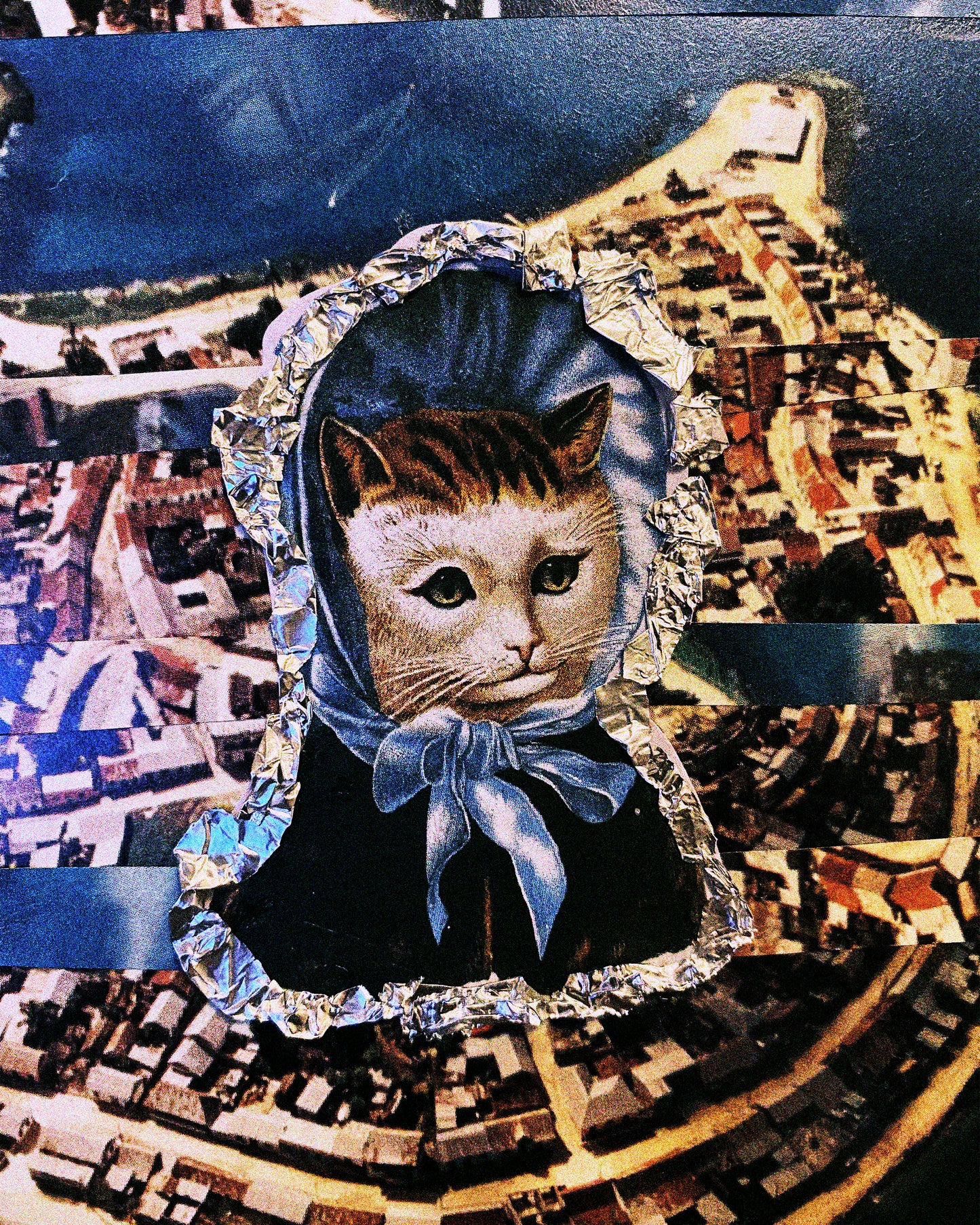 City Cat