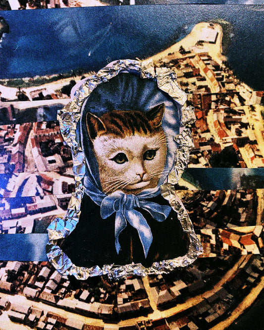 City Cat